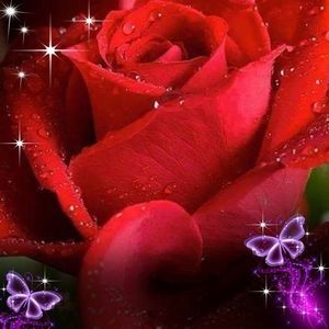 Meet your Posher, Debi